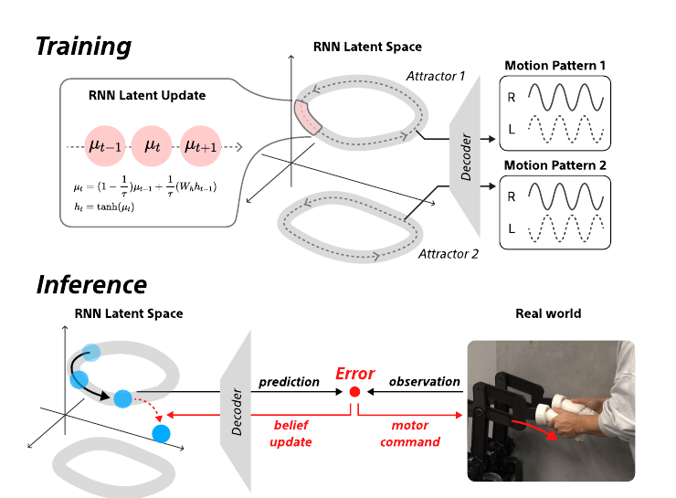 The proposed RNN-based active-inference model. Training: the network learns multiple motion primitives as distinct attractors in the latent space. Inference: a movement gap produces a prediction error that triggers a belief update; by shifting between attractors the agent re-synchronizes in real time.