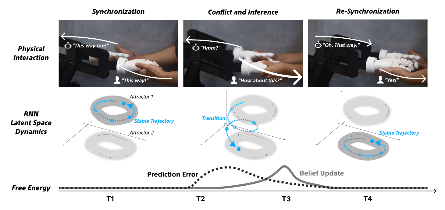 Real-time adaptive coordination via latent attractor dynamics driven by free energy minimization. (T1) Synchronization — partners share a rhythm, a stable limit cycle (Attractor 1). (T2) Conflict — you change your intention and the mismatch spikes the agent’s prediction error. (T3) Inference — to reduce that error the agent updates its belief, driving a transition to a new attractor (1 → 2). (T4) Re-synchronization — the internal state settles into the new attractor and the agent physically adapts to your new intention.